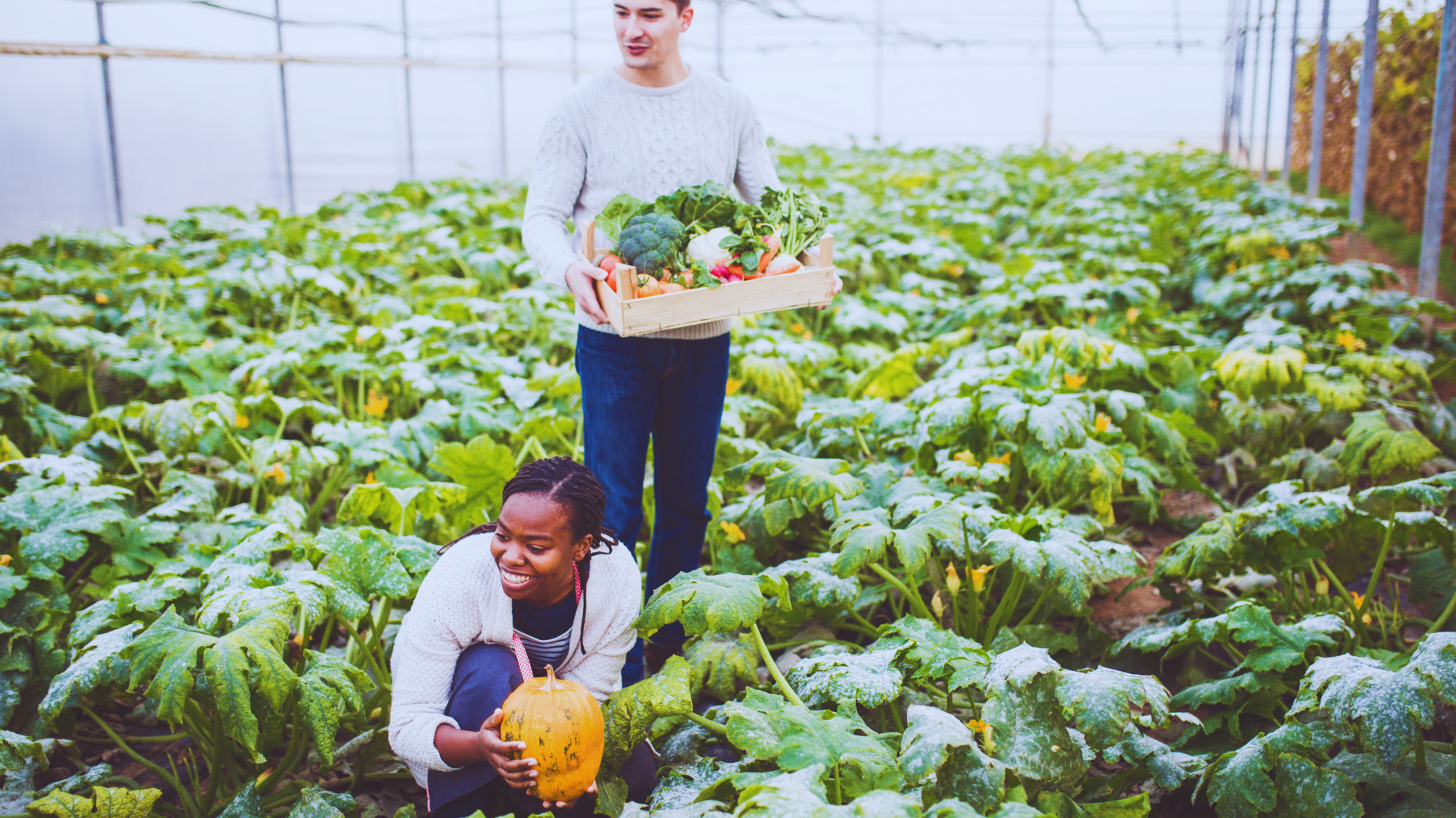Tips for Growing Your Own Food: A Comprehensive Guide for Beginners